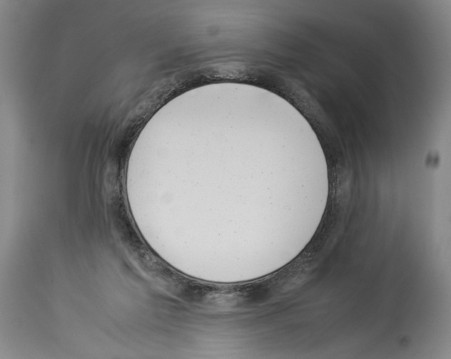 X0000113930213200911061226