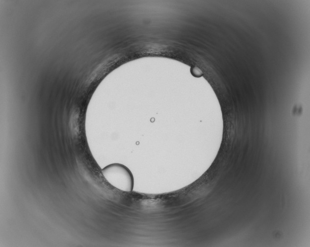 X0000113930216200911061226