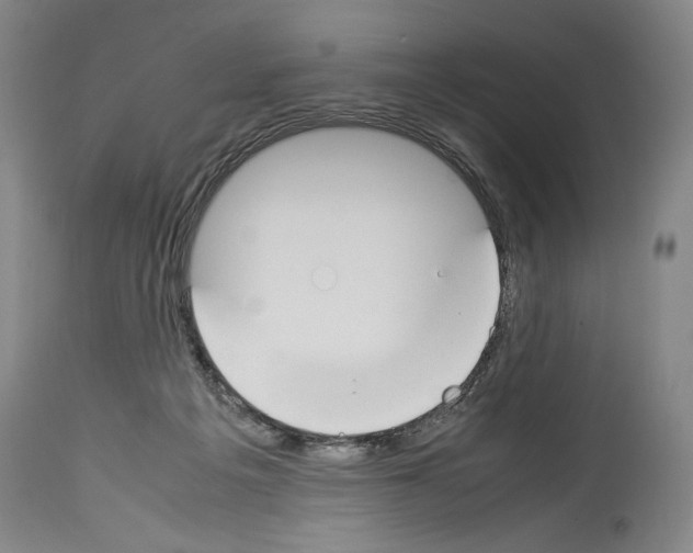 X0000113930217200911061226