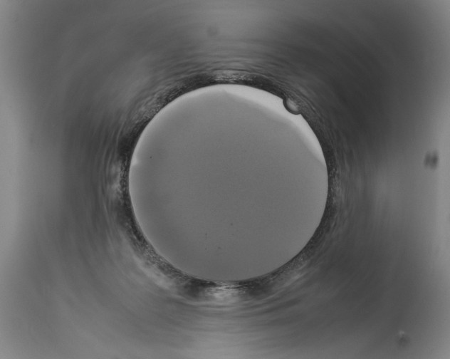 X0000113930219200911061226