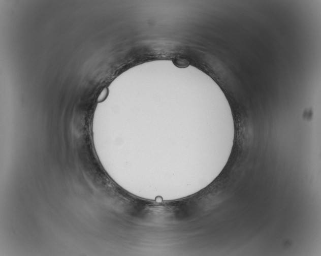 X0000113930221200911061226