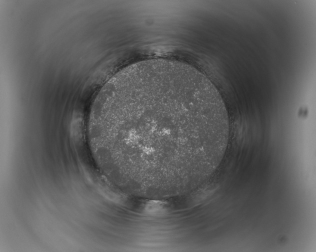 X0000113930222200911061226