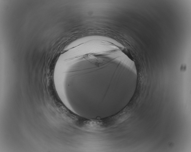 X0000113930223200911061226