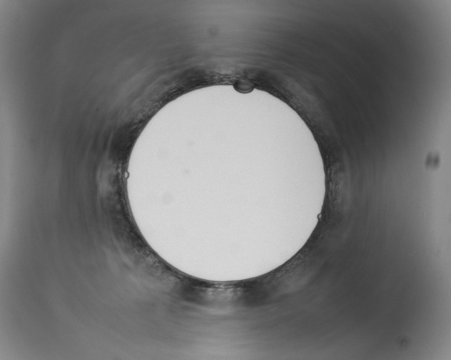 X0000113930225200911061226