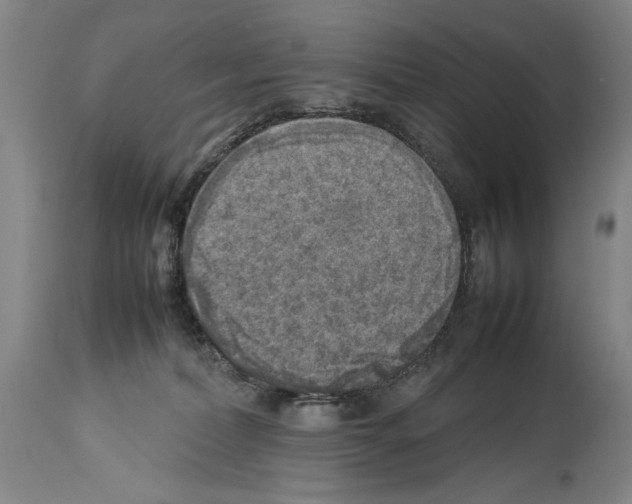 X0000113930228200911061226