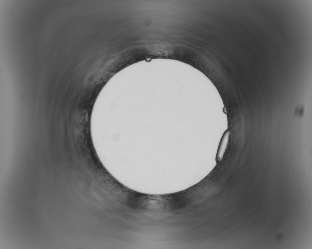 X0000113930229200911061226