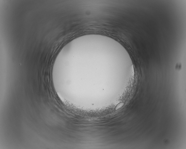 X0000113930233200911061226