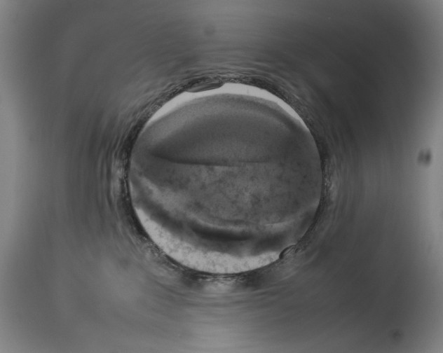 X0000113930235200911061226