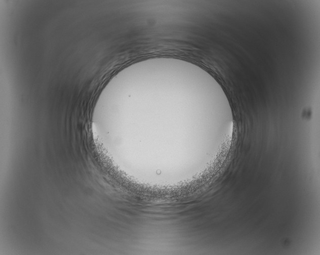 X0000113930237200911061226