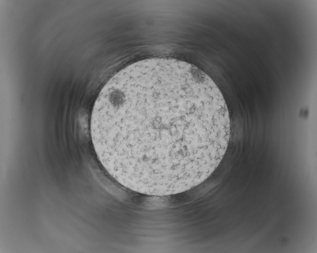 X0000113930238200911061226
