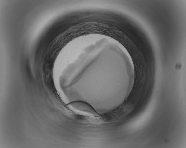 X0000113930239200911061226