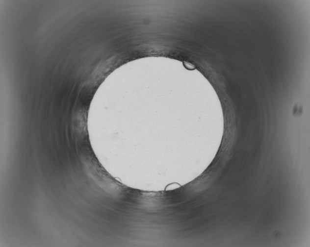 X0000113930240200911061226