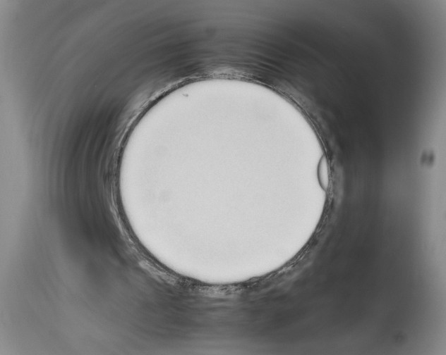 X0000113930241200911061225