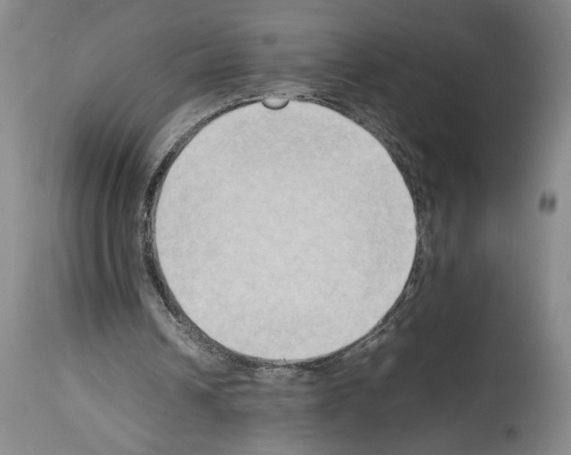X0000113930242200911061225