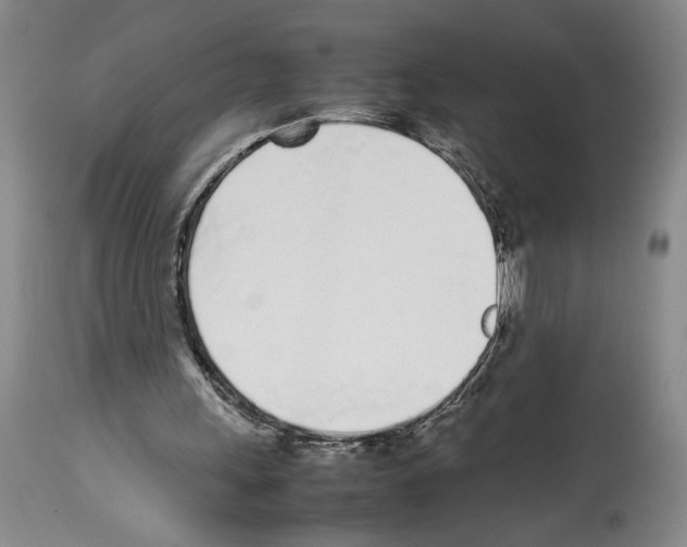 X0000113930243200911061225