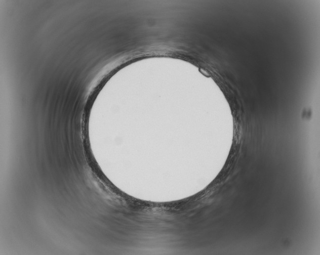 X0000113930244200911061225