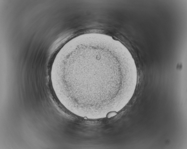 X0000113930245200911061225