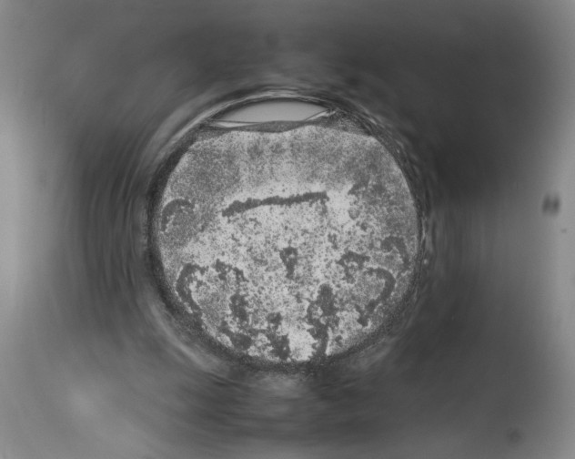X0000113930247200911061225