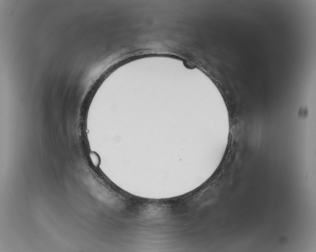 X0000113930248200911061225