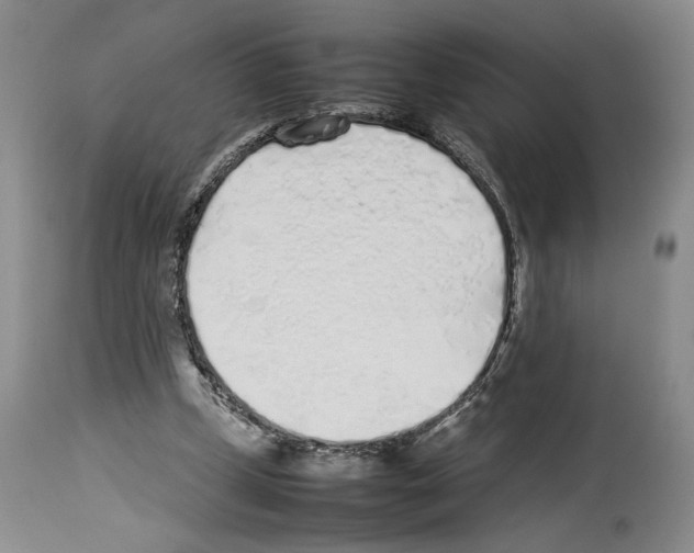 X0000113930249200911061225