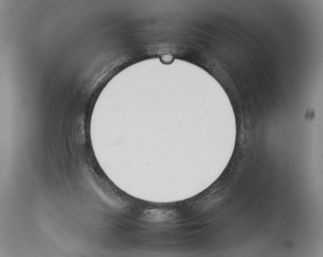 X0000113930251200911061225