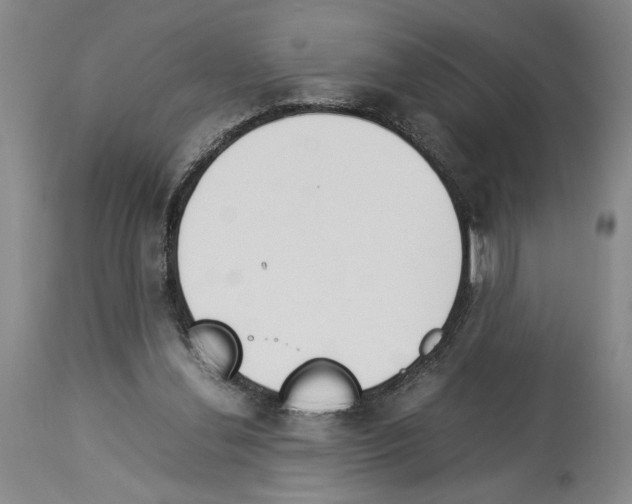 X0000113930252200911061225