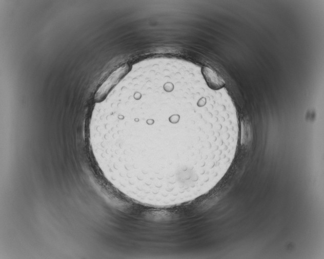X0000113930253200911061225