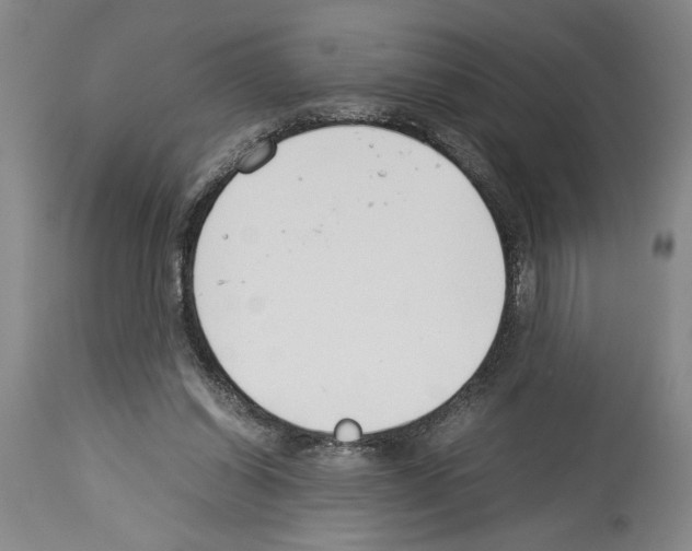 X0000113930254200911061225