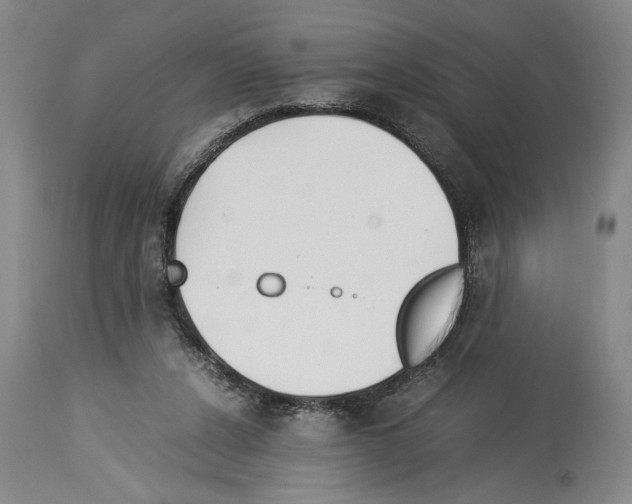 X0000113930256200911061225