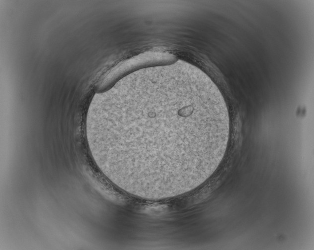 X0000113930257200911061225