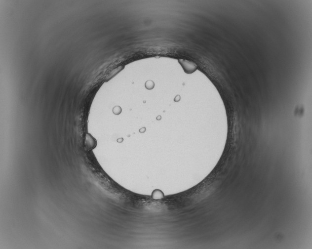 X0000113930258200911061225