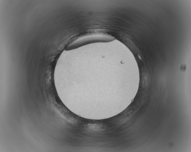 X0000113930259200911061225
