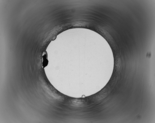 X0000113930261200911061225