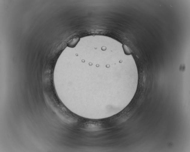 X0000113930263200911061226