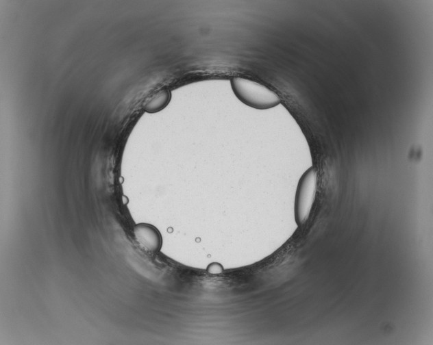 X0000113930264200911061226