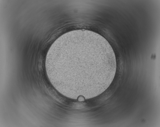 X0000113930266200911061226
