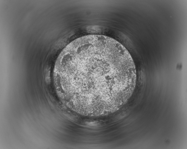 X0000113930267200911061226