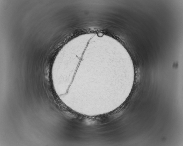 X0000113930269200911061226