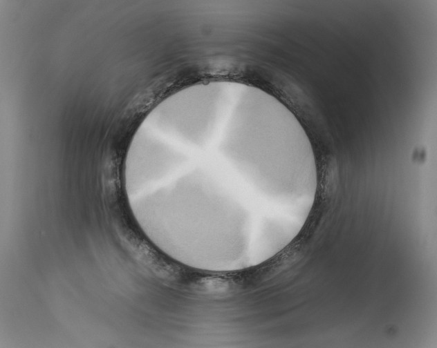 X0000113930272200911061226