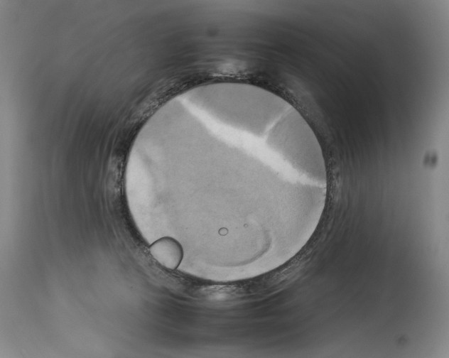 X0000113930273200911061226