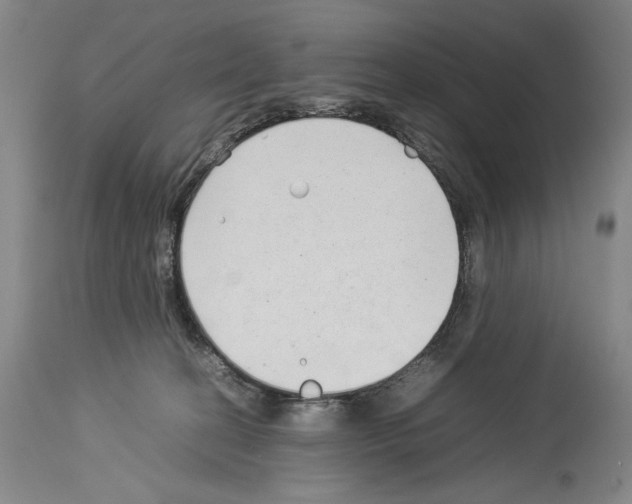X0000113930274200911061226