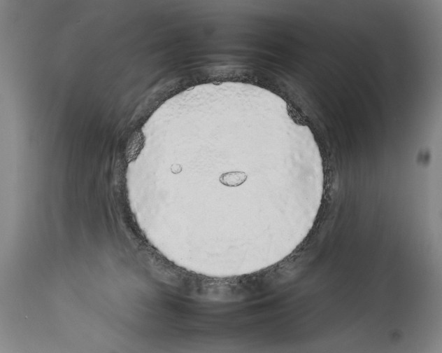 X0000113930277200911061226