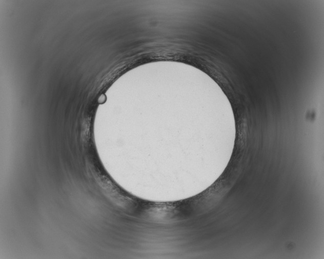 X0000113930278200911061226