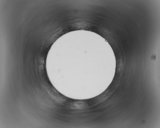 X0000113930279200911061226