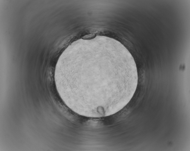 X0000113930280200911061226