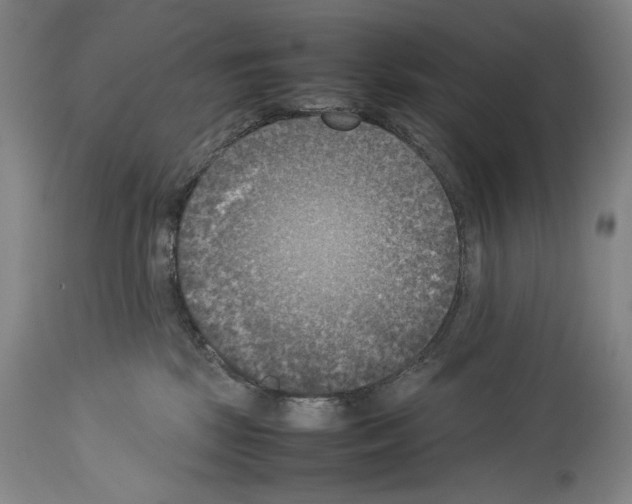 X0000113930281200911061226