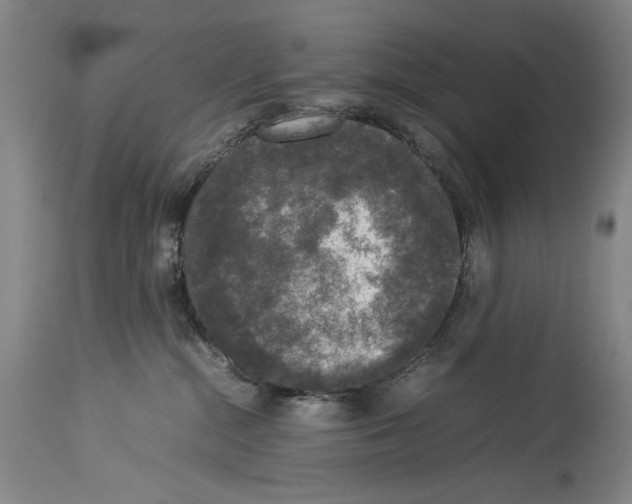 X0000113930284200911061226