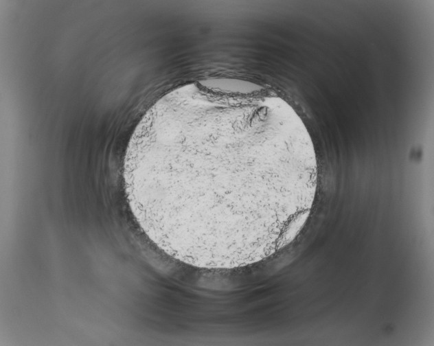 X0000113930285200911061226