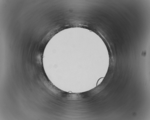 X0000113930286200911061226