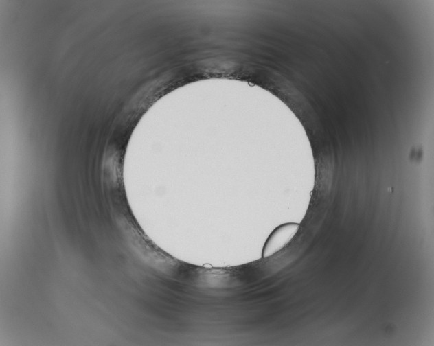 X0000113930287200911061226